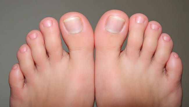 <em>María José González</em>