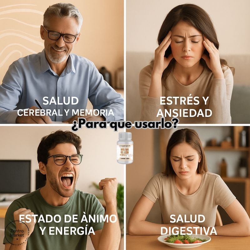 MELENA DE LEON FORTIFICADA - 60 Capsulas Mejora Cerebral, Concentración, Estrés y Ansiedad