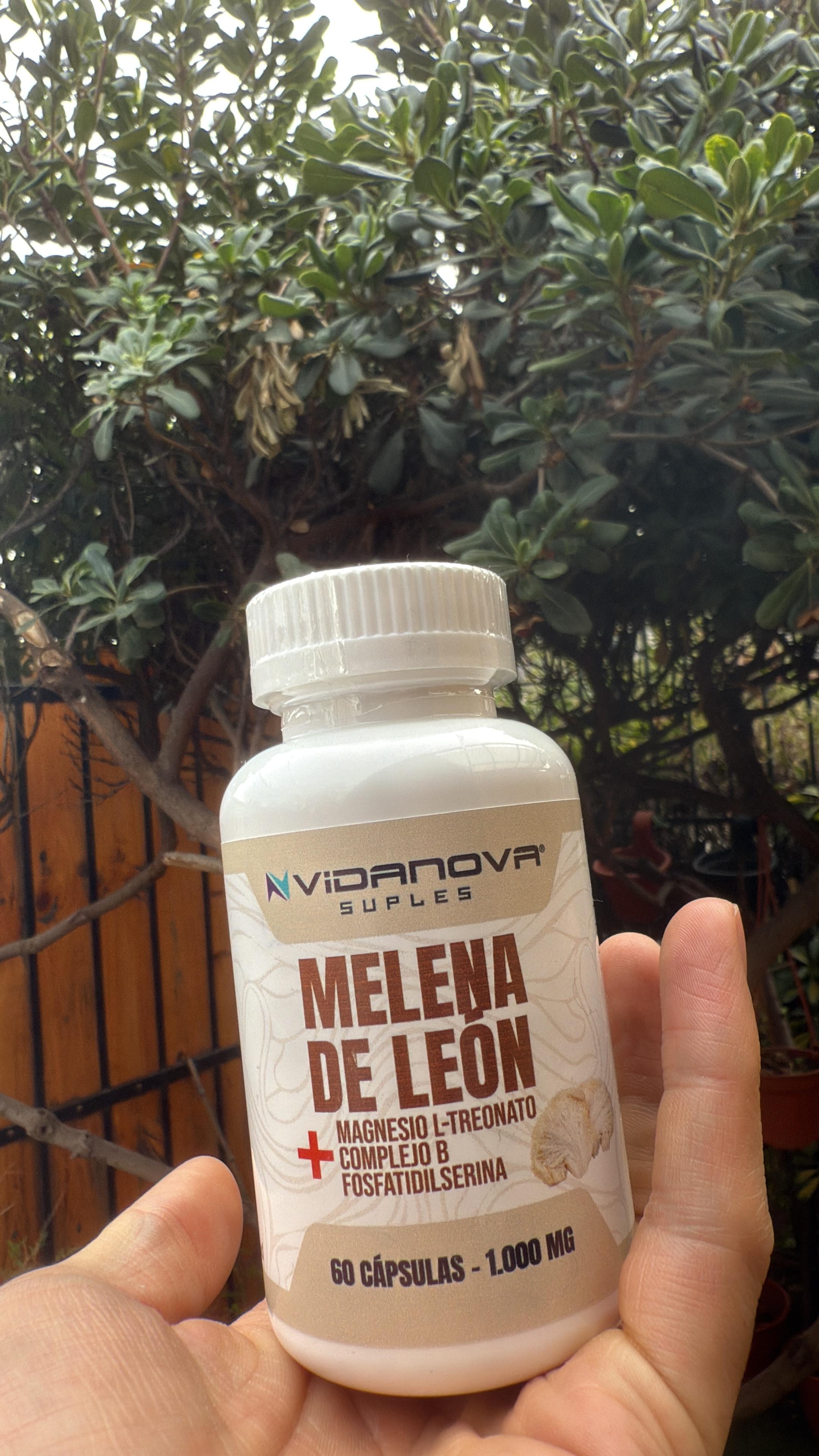 <em>Marcela Fuentes</em>